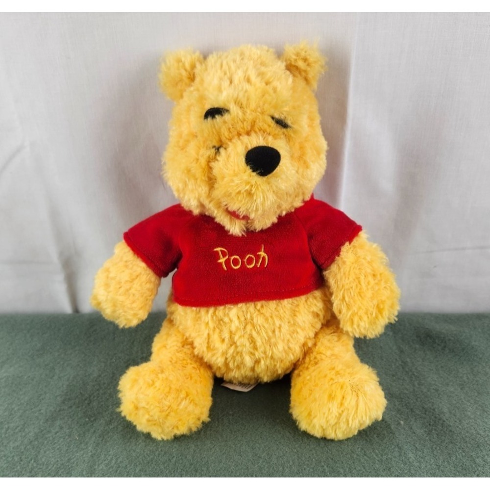 Winnie The Pooh Plush Disneyland Resort Stuffed Animal Long Pile